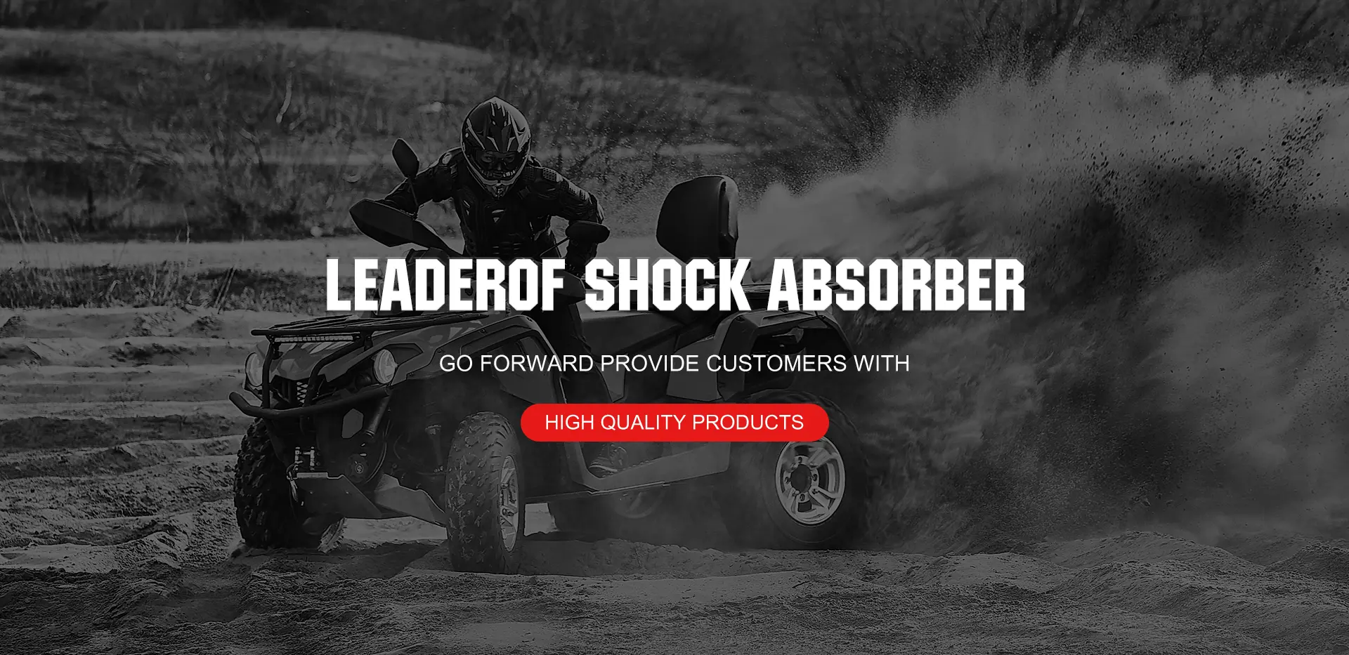 Појединачна подесива фабрика амортизера